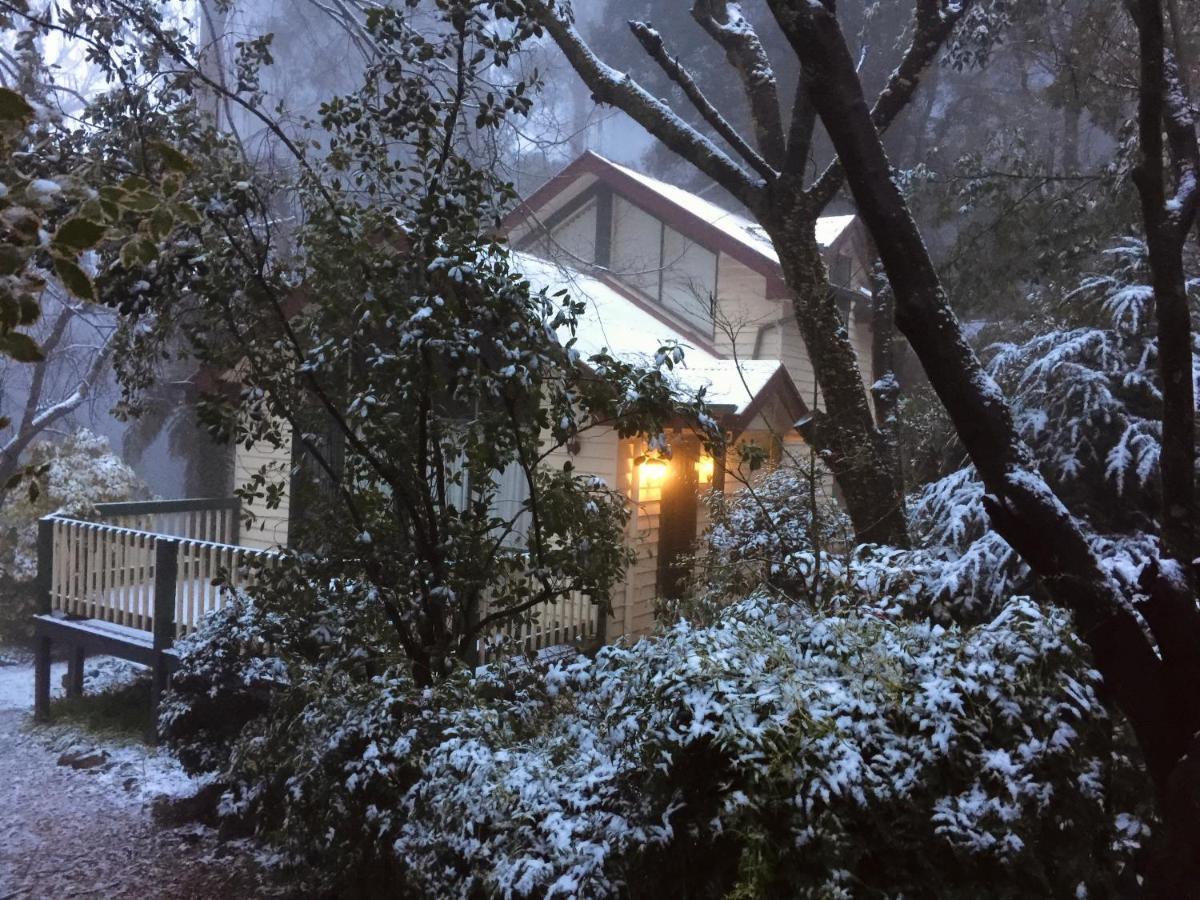 Cambridge Cottages Olinda Exterior foto